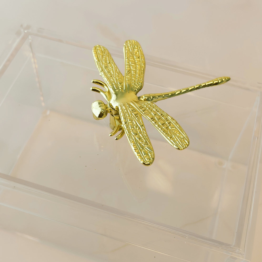 Caixa de Acrílico c/ Tampa Libelula Caixa de Acrílico c/ Tampa Libelula