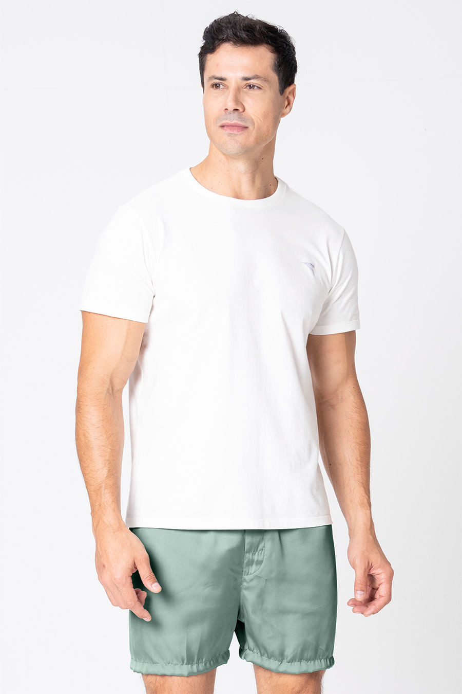 SAMBA CANÇÃO ACETINADA - CLÁSSICOS ACETINADOS VERDE JADE SAMBA CANÇÃO ACETINADA - CLÁSSICOS ACETINADOS VERDE JADE