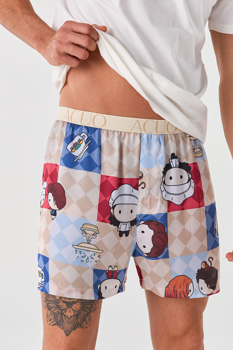 SAMBA CANÇÃO ACETINADA - FRIENDS SAMBA CANÇÃO ACETINADA - FRIENDS