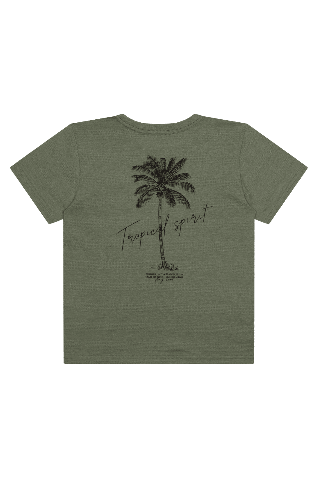 Conjunto infantil verão menino camiseta malha e bermuda moletinho Conjunto infantil verão menino camiseta malha e bermuda moletinho