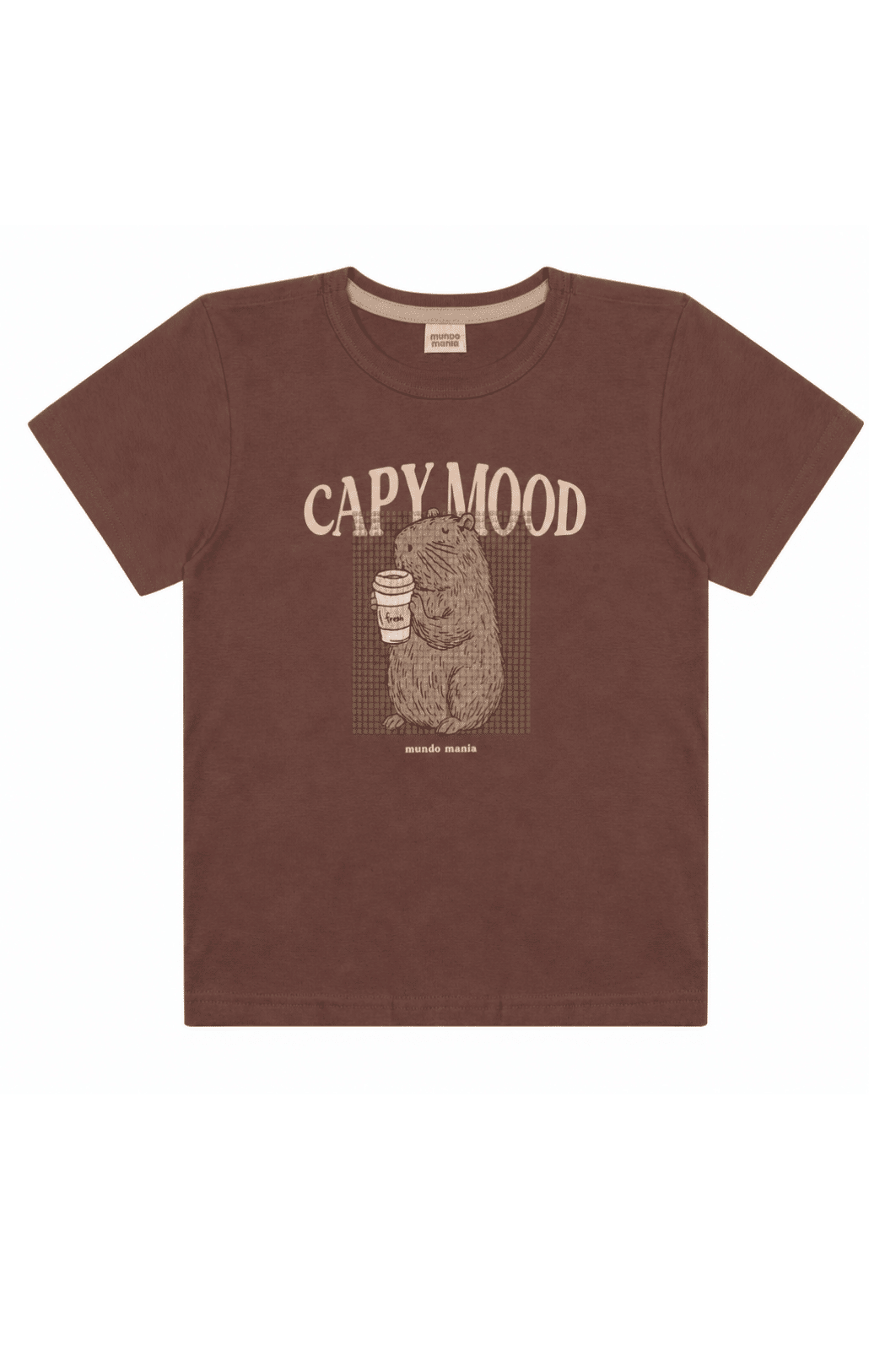 Camiseta meia malha infantil menino verão com reforço Camiseta meia malha infantil menino verão com reforço