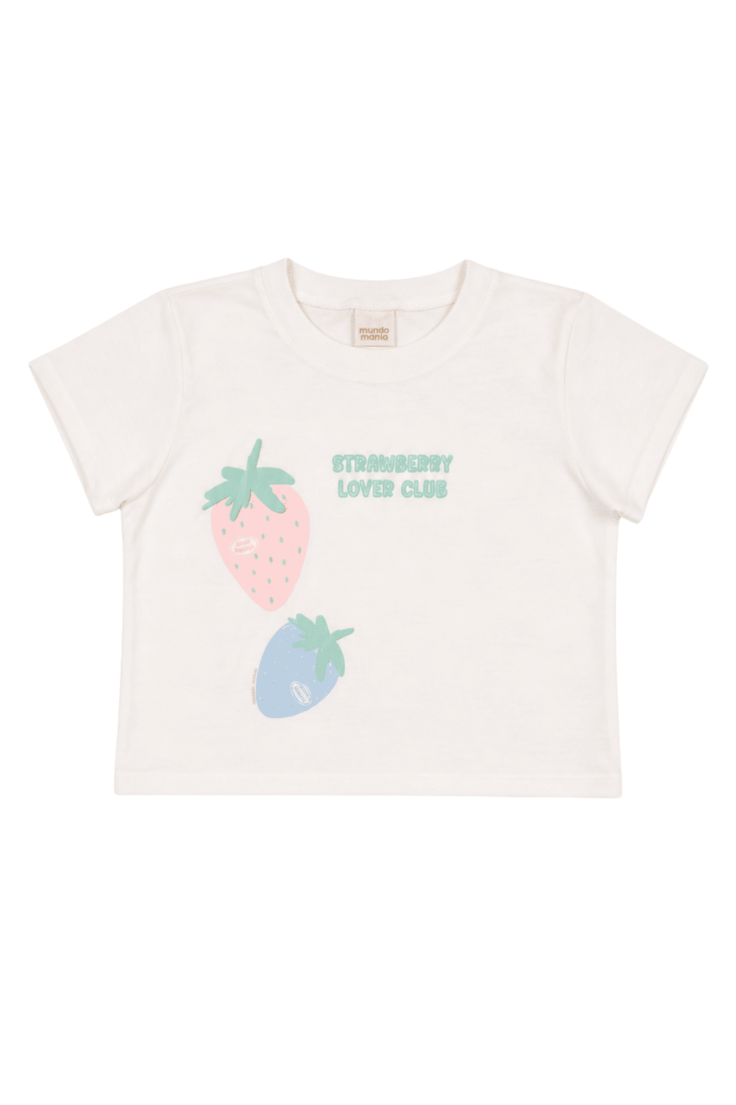 Conjunto Menina Infantil básico Blusa e Shorts verão. Conjunto Menina Infantil básico Blusa e Shorts verão.