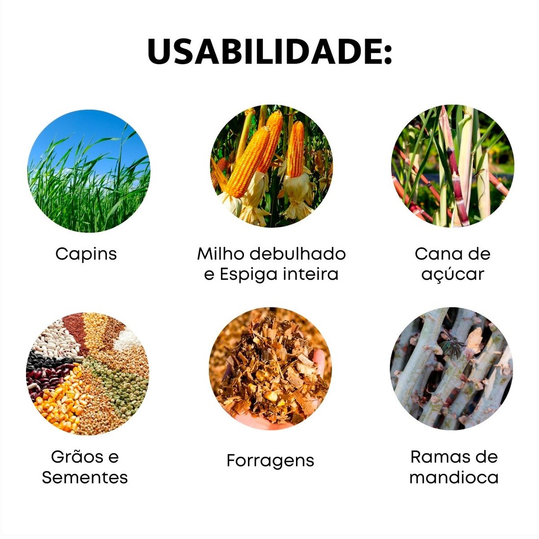 Triturador Forrageiro Trapp TRF-400 Com Motor 2HP Monofásico Bivolt 127V/220V Triturador Forrageiro Trapp TRF-400 Com Motor 2HP Monofásico Bivolt 127V/220V