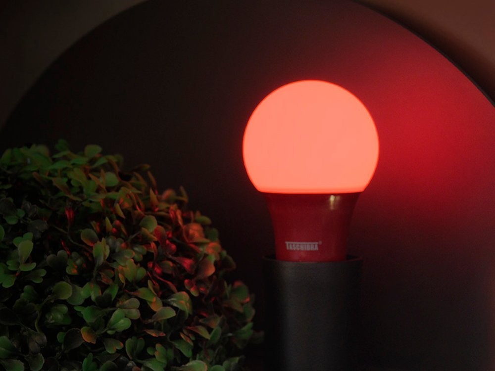 Lâmpada Led Vermelha 5W TKL Colors