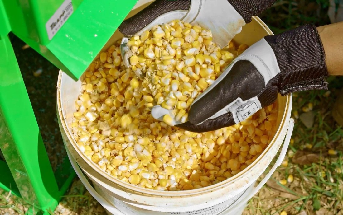 Debulhador de Milho Trapp DM-50 Com Motor 2HP 220V 60HZ