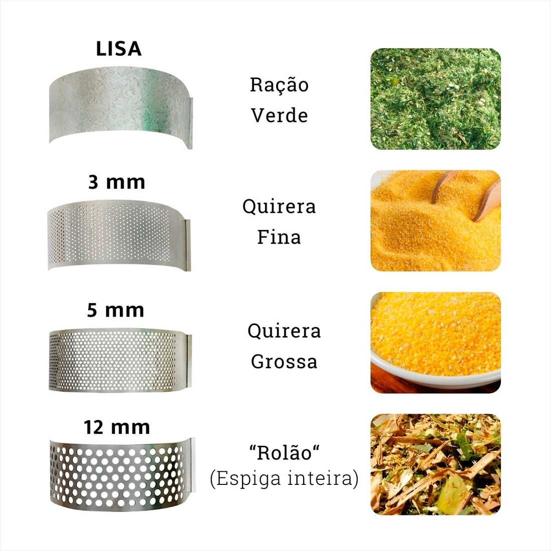 Triturador Forrageiro Trapp TRF-400 Com Motor 2HP Monofásico Bivolt 127V/220V Triturador Forrageiro Trapp TRF-400 Com Motor 2HP Monofásico Bivolt 127V/220V