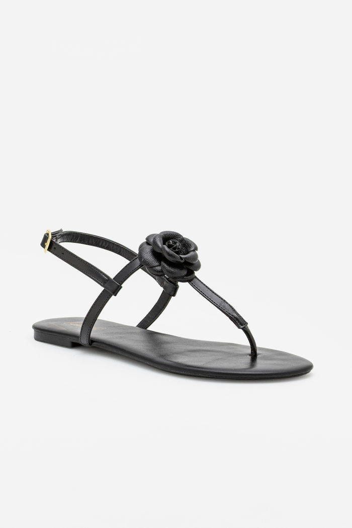 Rasteira Minimalista Com Flor Delicada Preto