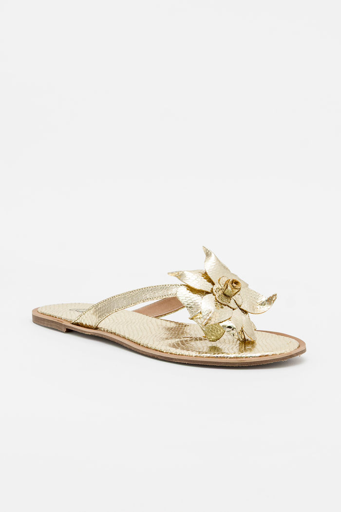 Rasteira Com Flor Ouro