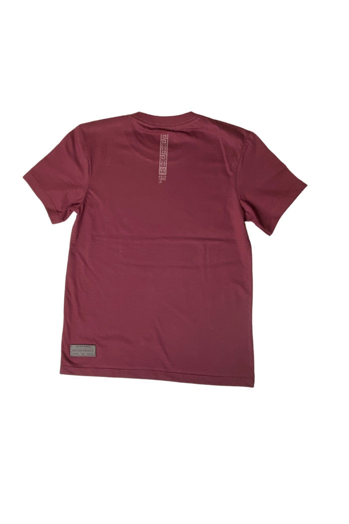 CAMISETA INFANTIL VINHO - 1I20