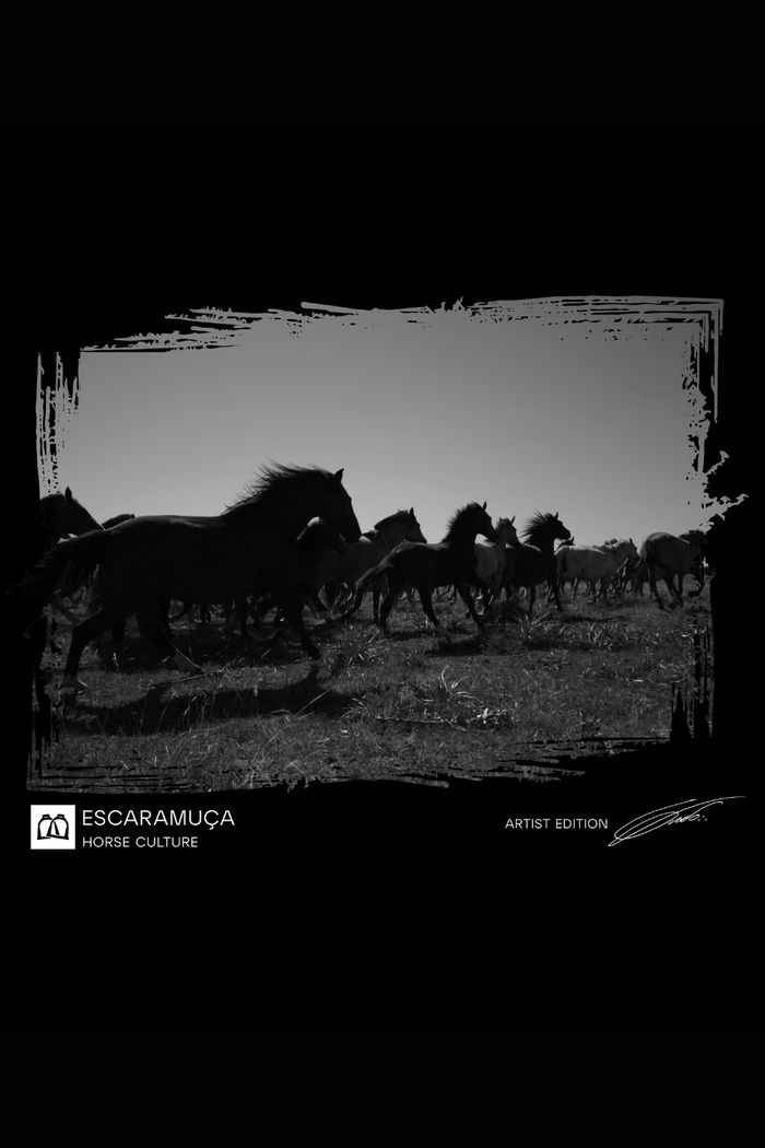 CAMISETA ESSÊNCIA - 1M109