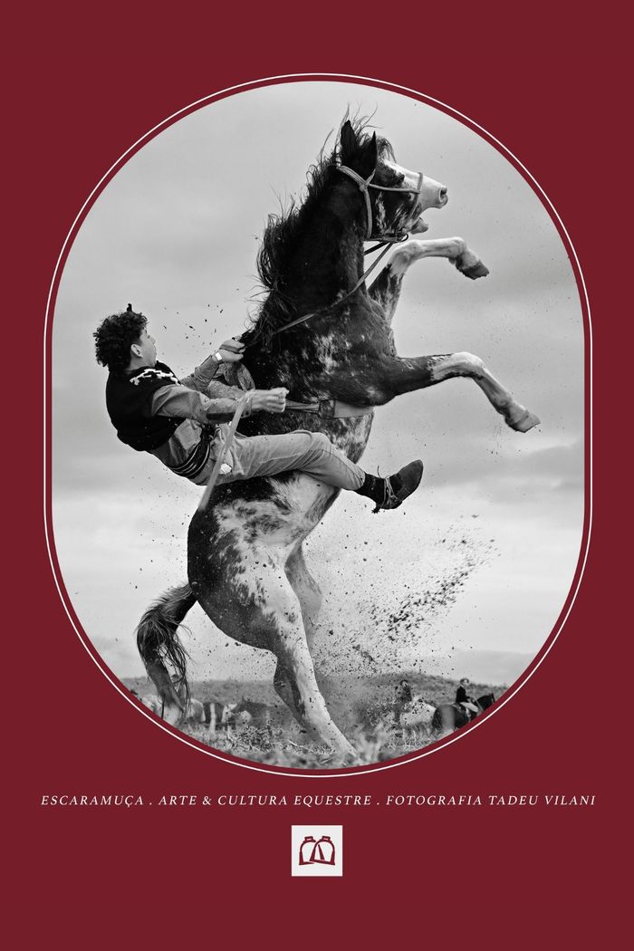 CAMISETA  VILANI VINHO (1M71)