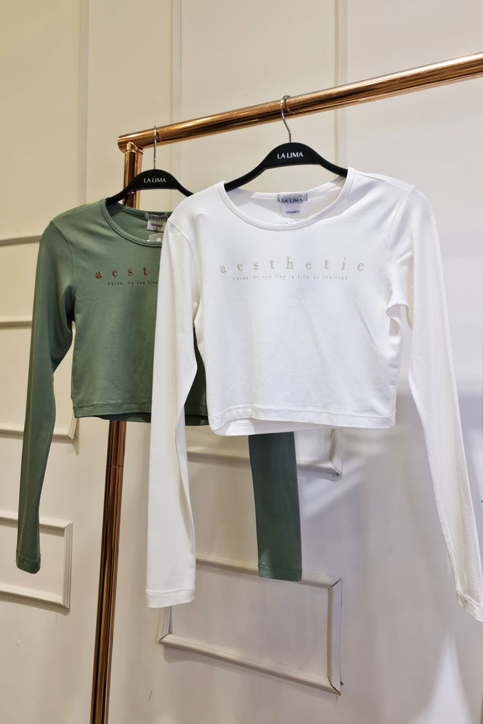 Cropped Tshirt Manga Longa Aesthetic
