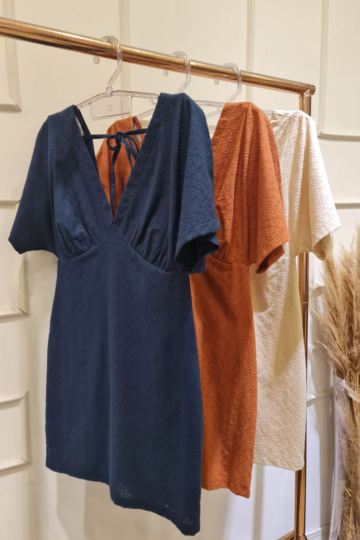 Vestido de Laise Bordado com Manga 3 Cores