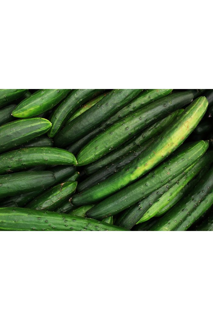 Pepino Japonês kg Orgânico