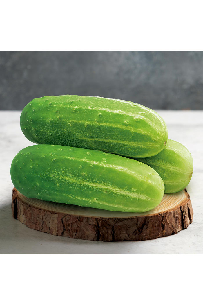 Pepino Caipira Orgânico 500g