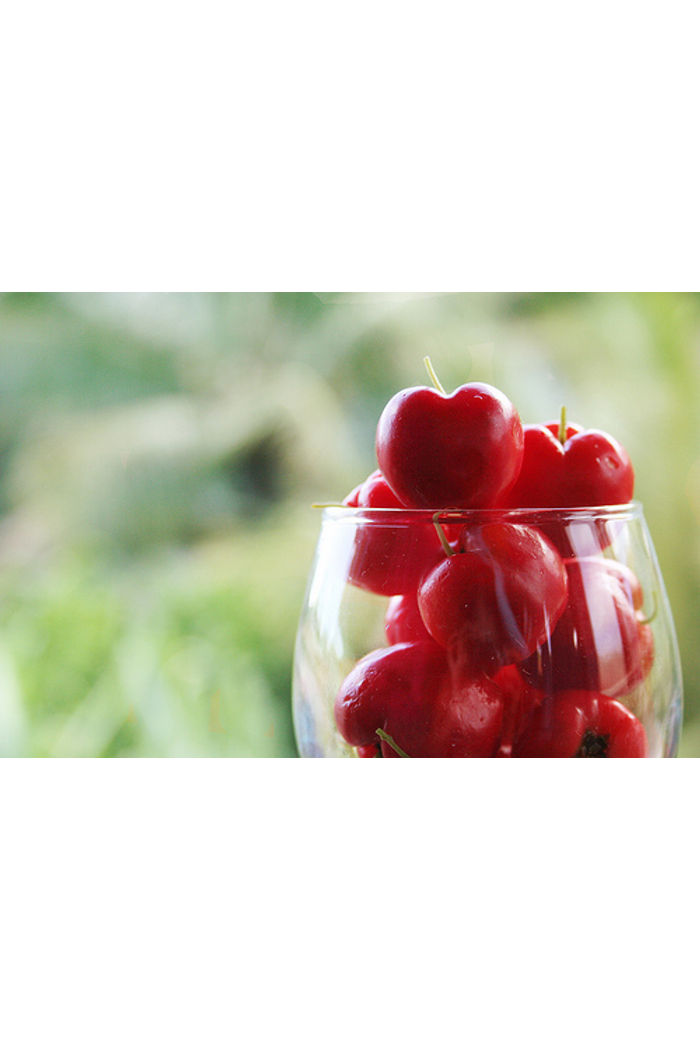 Polpa acerola 150 g Orgânica