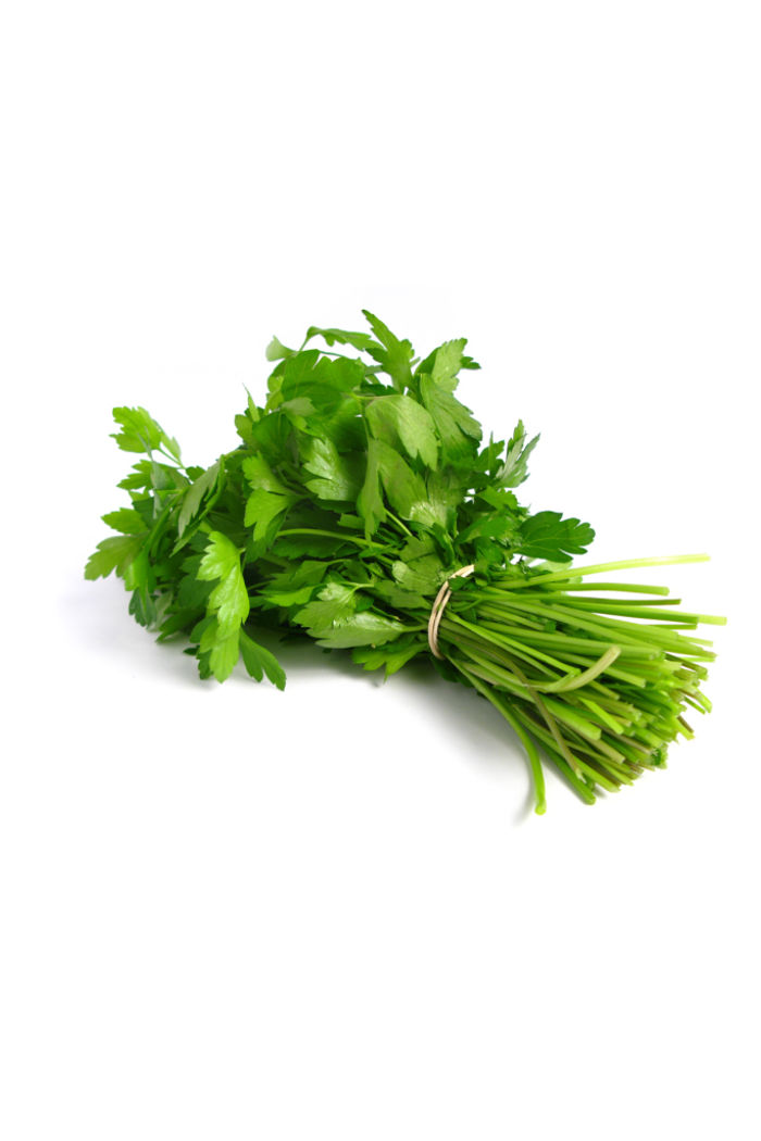 Coentro Orgânico