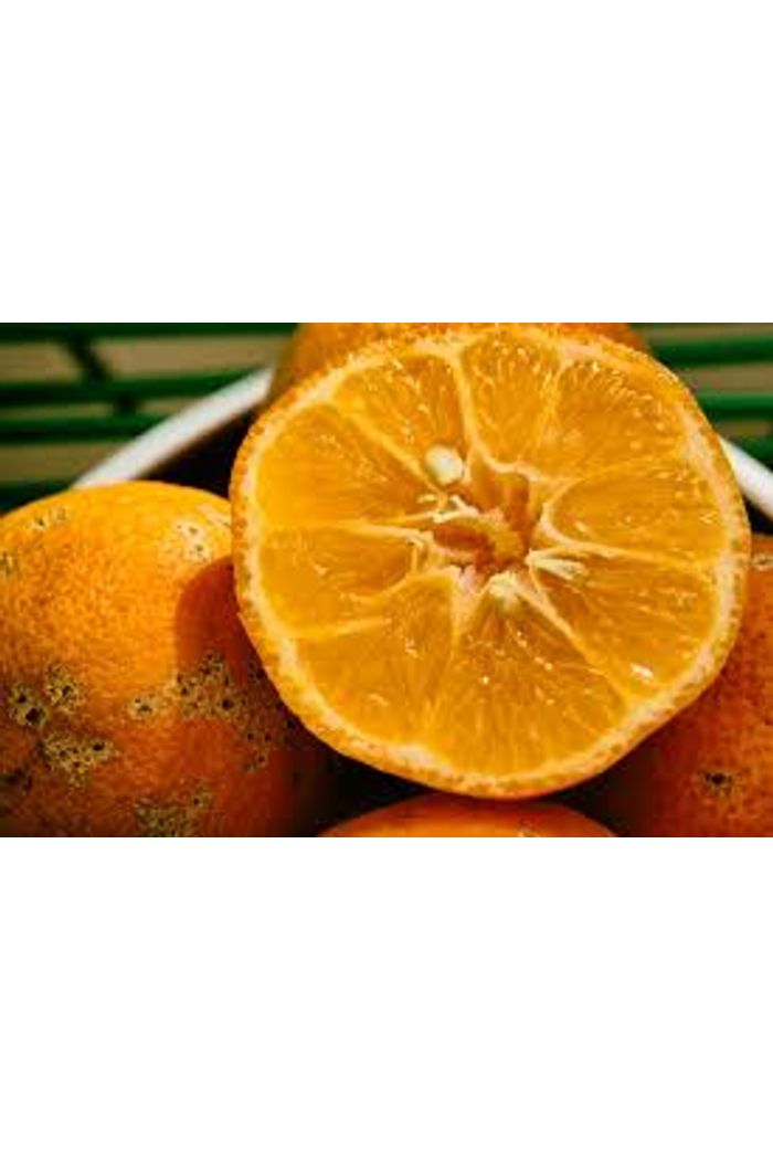 Limão Cravo Orgânico 500 g (novinho)