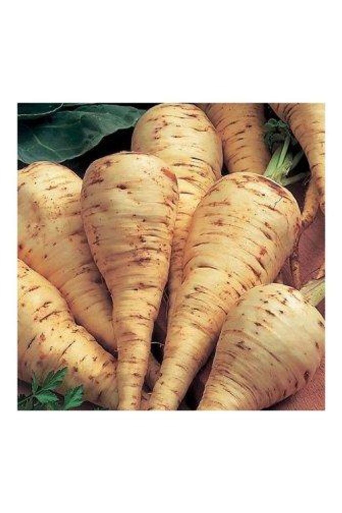 Mandioquinha Orgânica 200 g