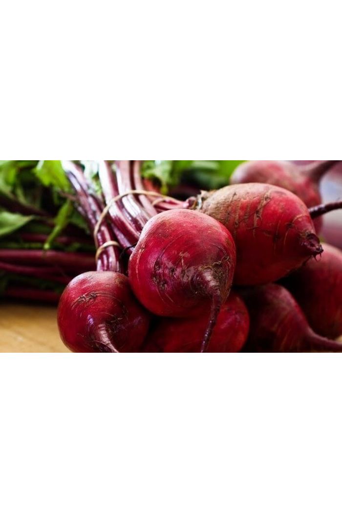 Beterraba Orgânica
