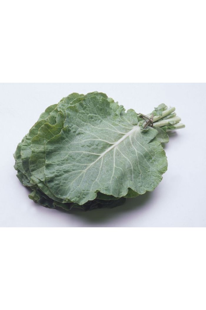 Couve Maneiga Orgânico