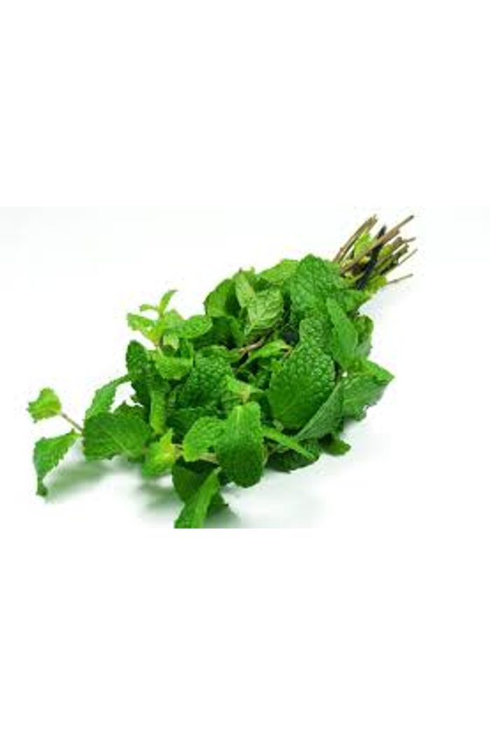 Hortelã Orgânico