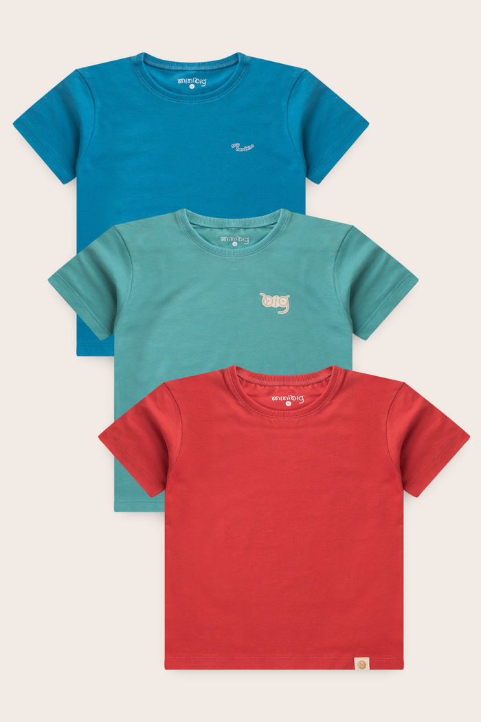Combo 3 Camisetas Menino - Azul Turquesa - Verde Acqua - Vermelho Cedro
