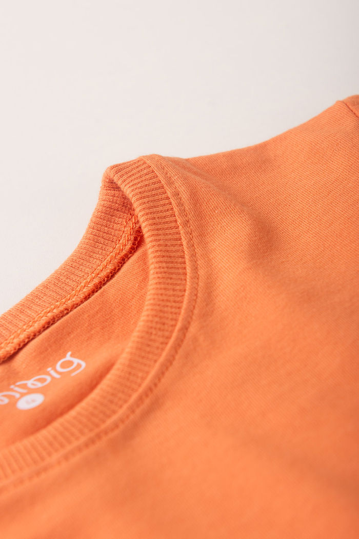 Conjunto Menino Camiseta Laranja Tangerina e Bermuda Azul Anil