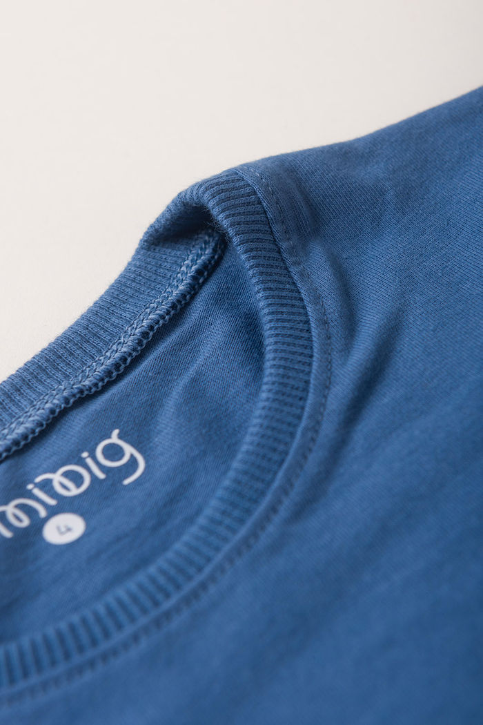 Conjunto Menino Camiseta Azul Anil e Bermuda Verde Folha