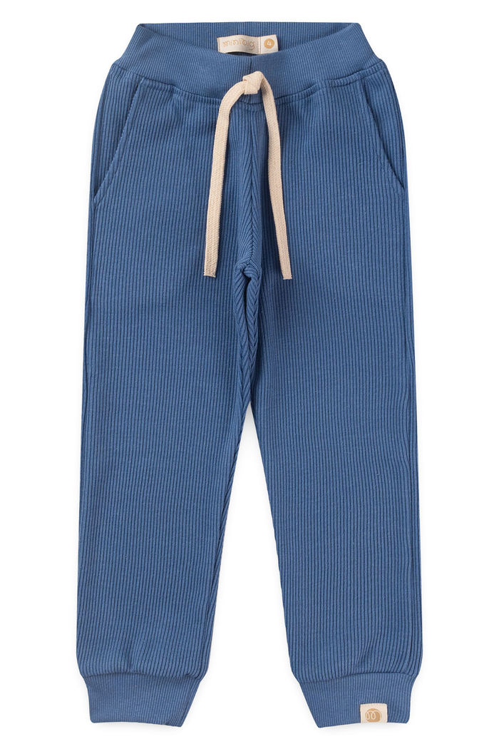 Calça Jogger Infantil Moletom Texturizado Algodão Sustentável - Azul Anil