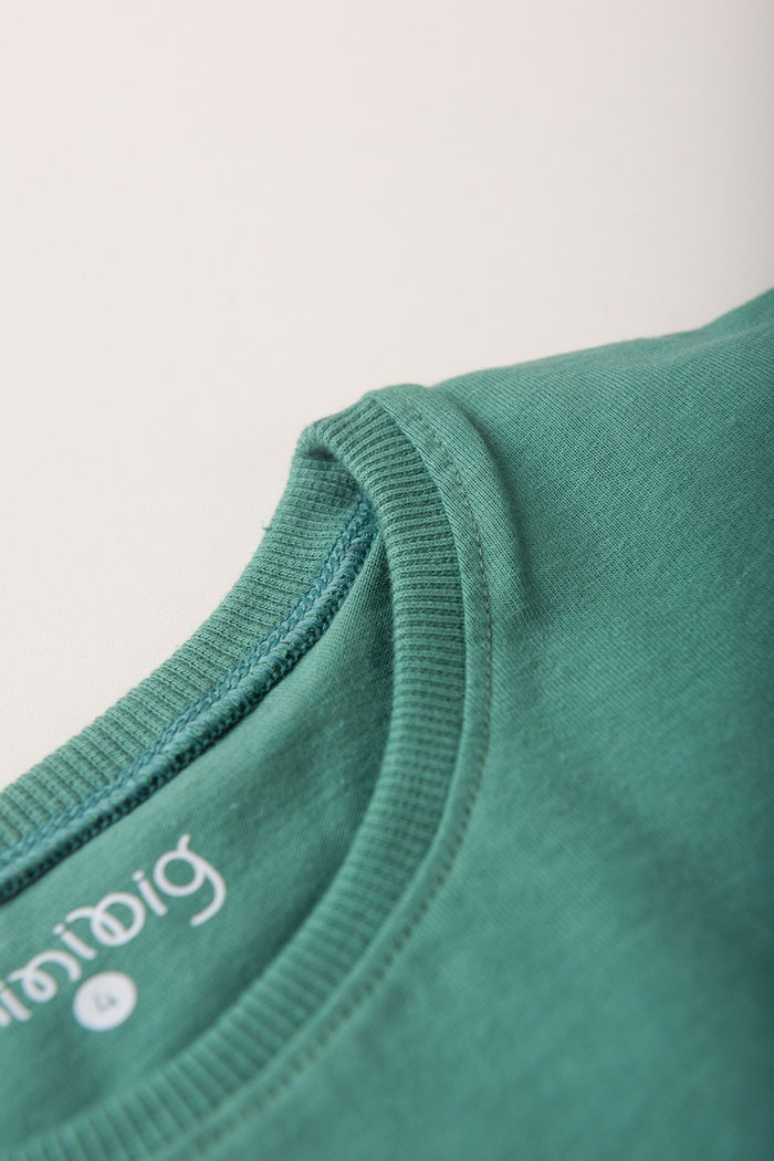 Blusa Menina Manga Japonesa 100% Algodão - Verde Folha