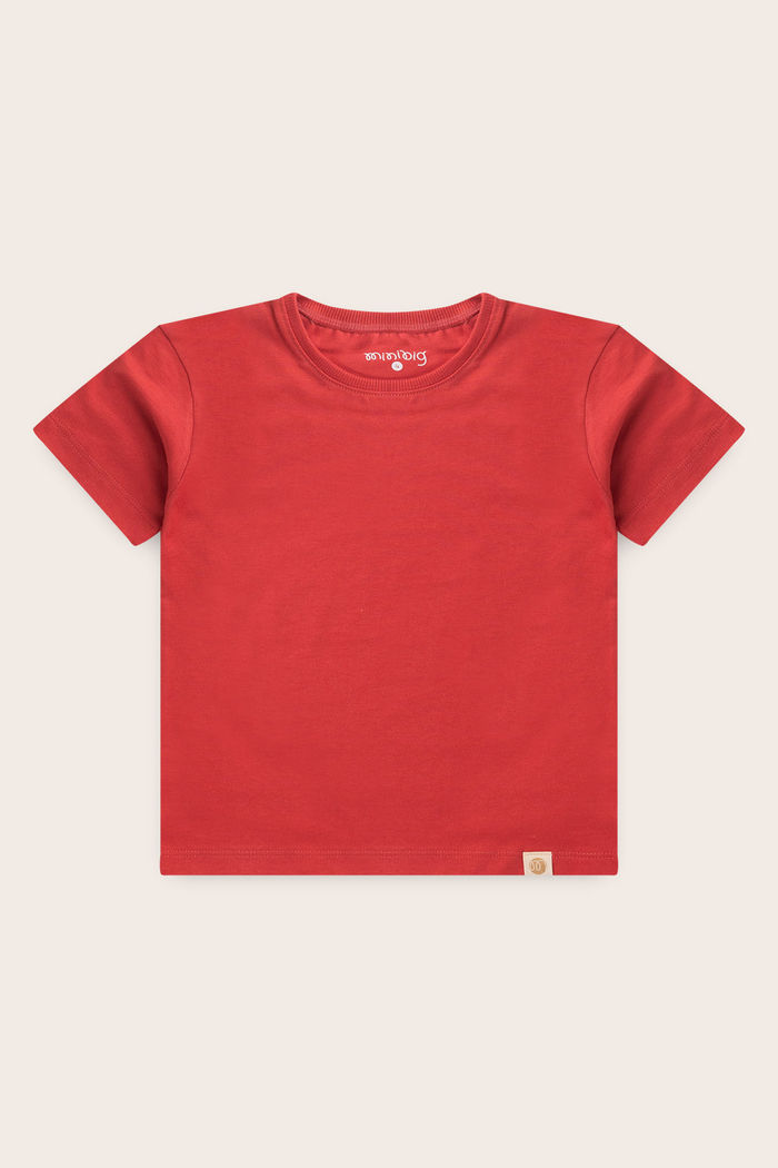 Conjunto Menino Camiseta Vermelho Cedro e Bermuda Listrado Off - Bege