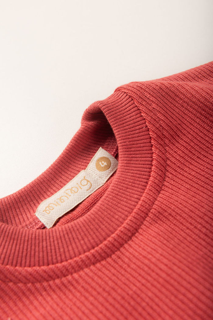 Conjunto Infantil Menina De Blusa e Saia Moletom Texturizado Algodão Sustentável - Vermelho Cedro