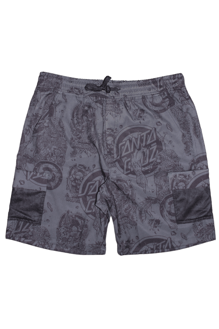 Shorts Santa Cruz Roskopp Evo Cargo