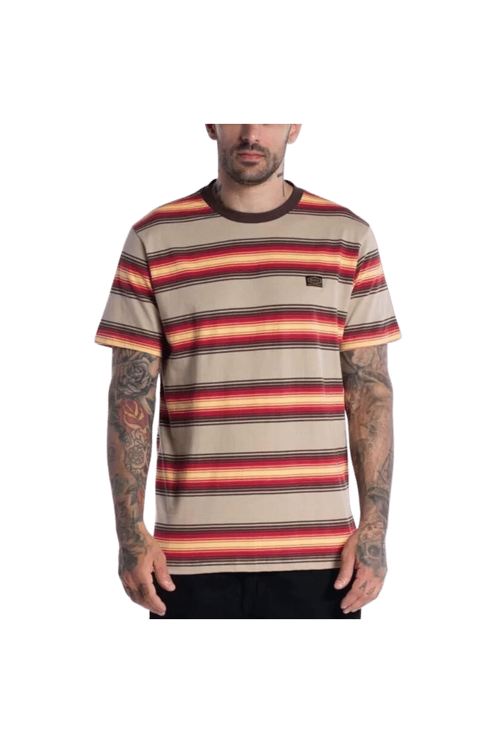 Camiseta RVCA Polanco Stripe Multi Cores