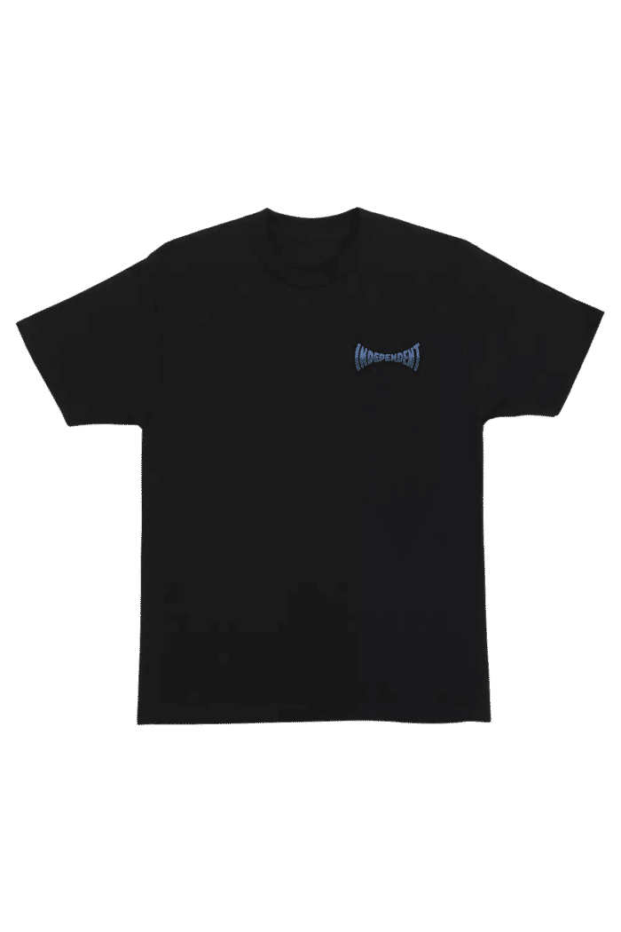 V4703102260001 / VN000HFTBLKC Camiseta Vans Posted SS Black