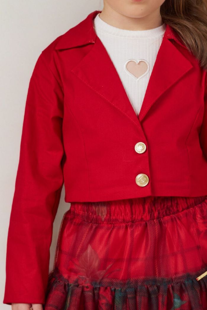 Conjunto com blazer de tricoline e saia de tule estampado