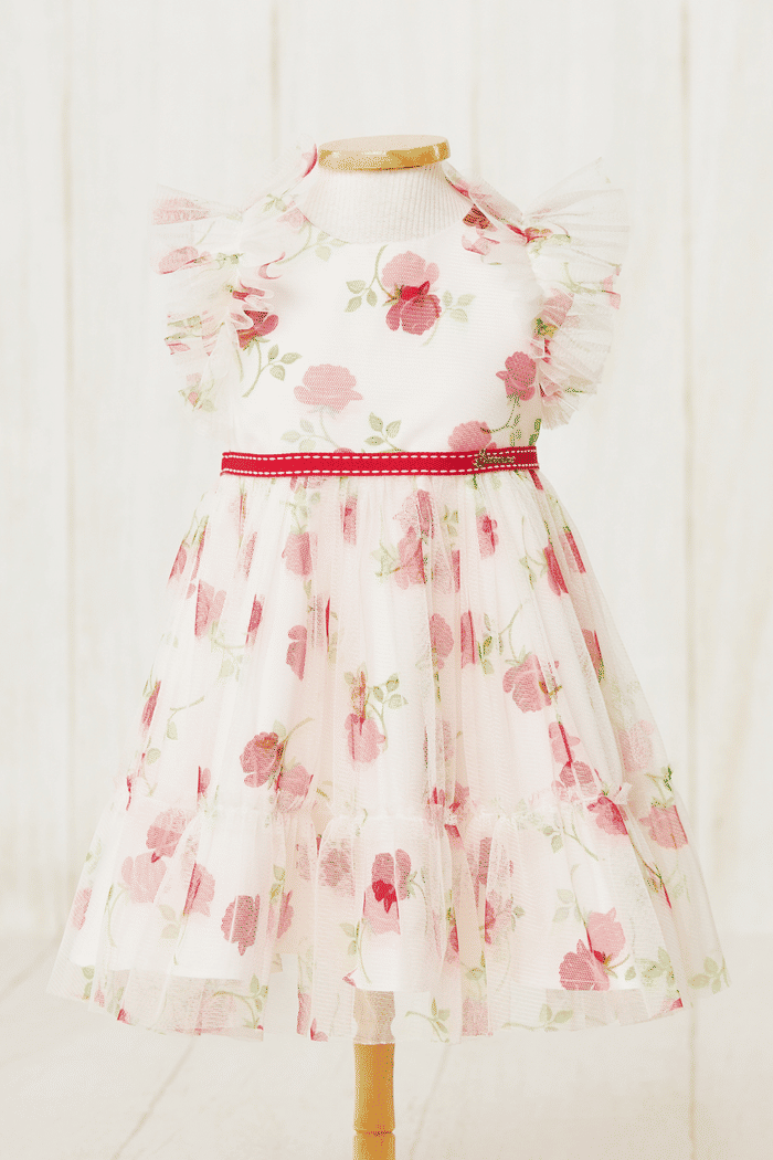 Vestido com estampa de rosas vermelhas