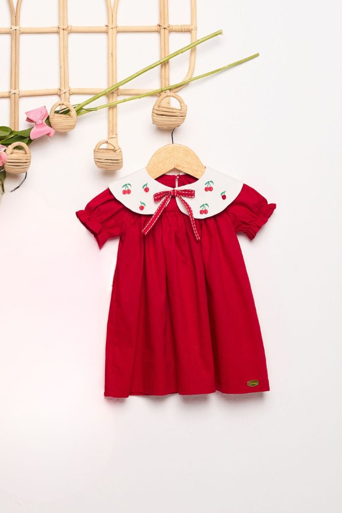 Vestido com gola bordada