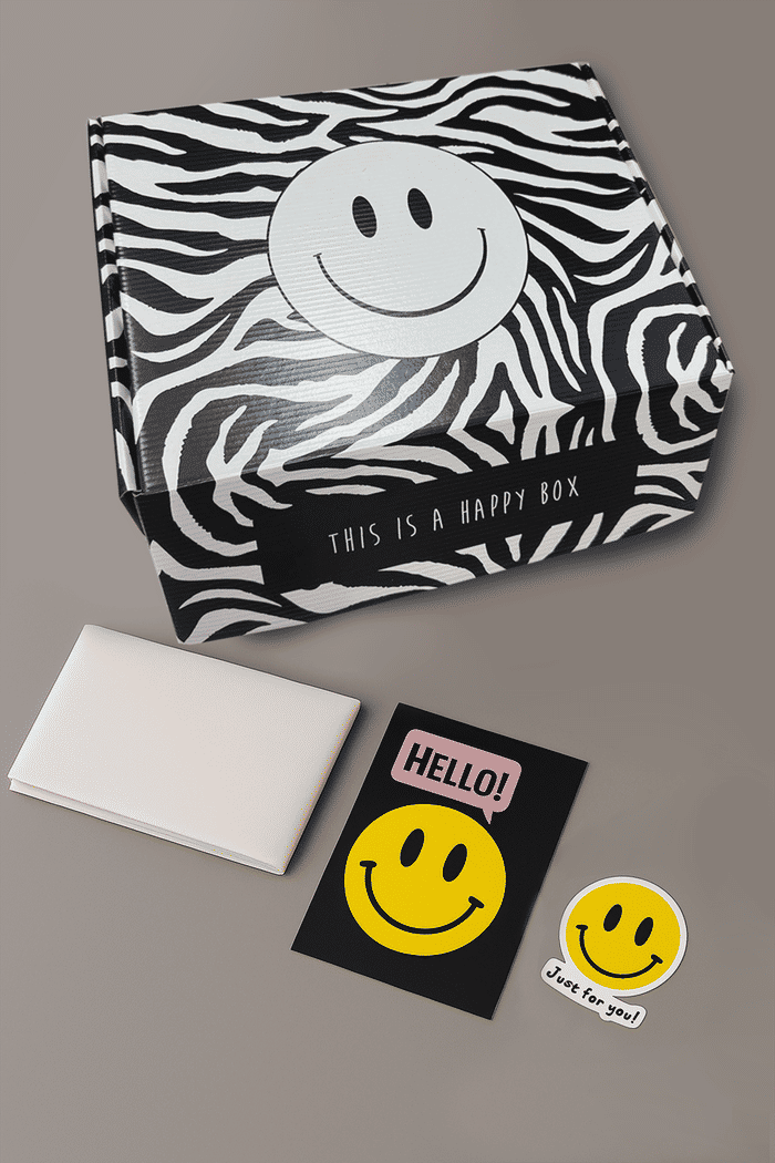 KIT CAIXA PRESENTE ZEBRA