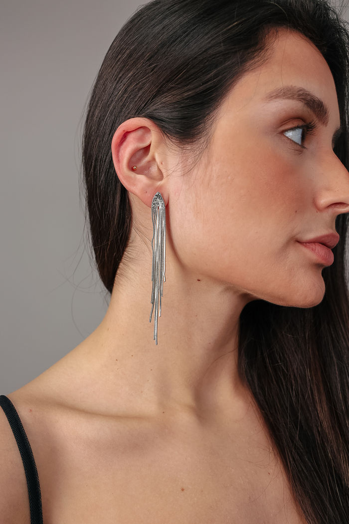 BRINCO DE FRANJAS PRATA