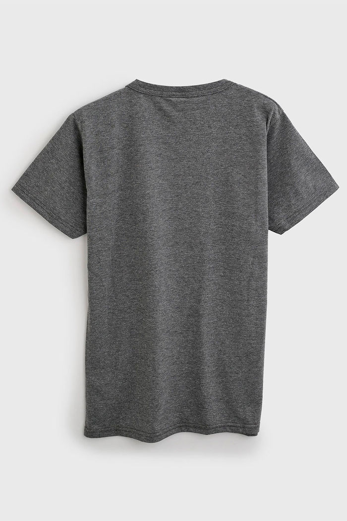 Camiseta Elian Infantil Lettering Cinza