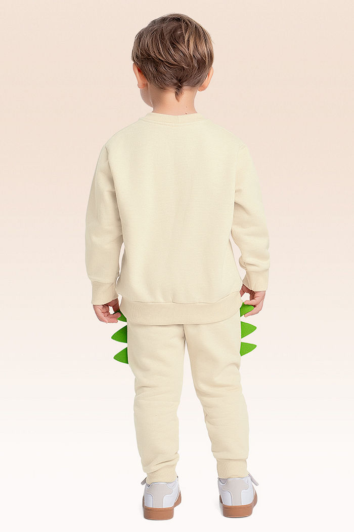 Conjunto blusão e calça moletom