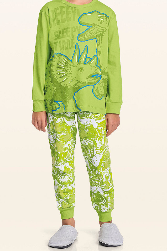 Conjunto pijama camiseta manga longa e calça dino