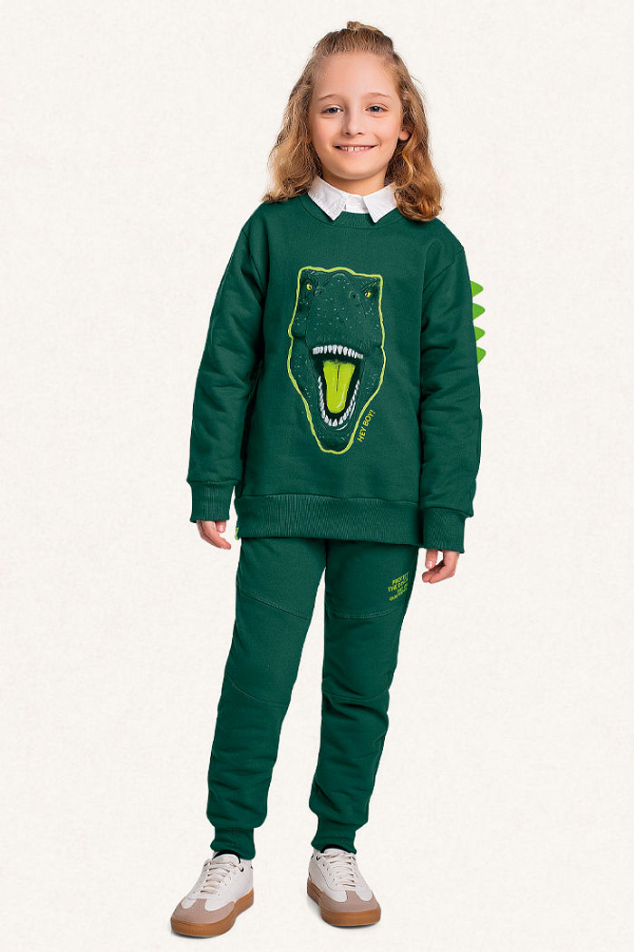 Conjunto blusão e calça em moletom dinossauro