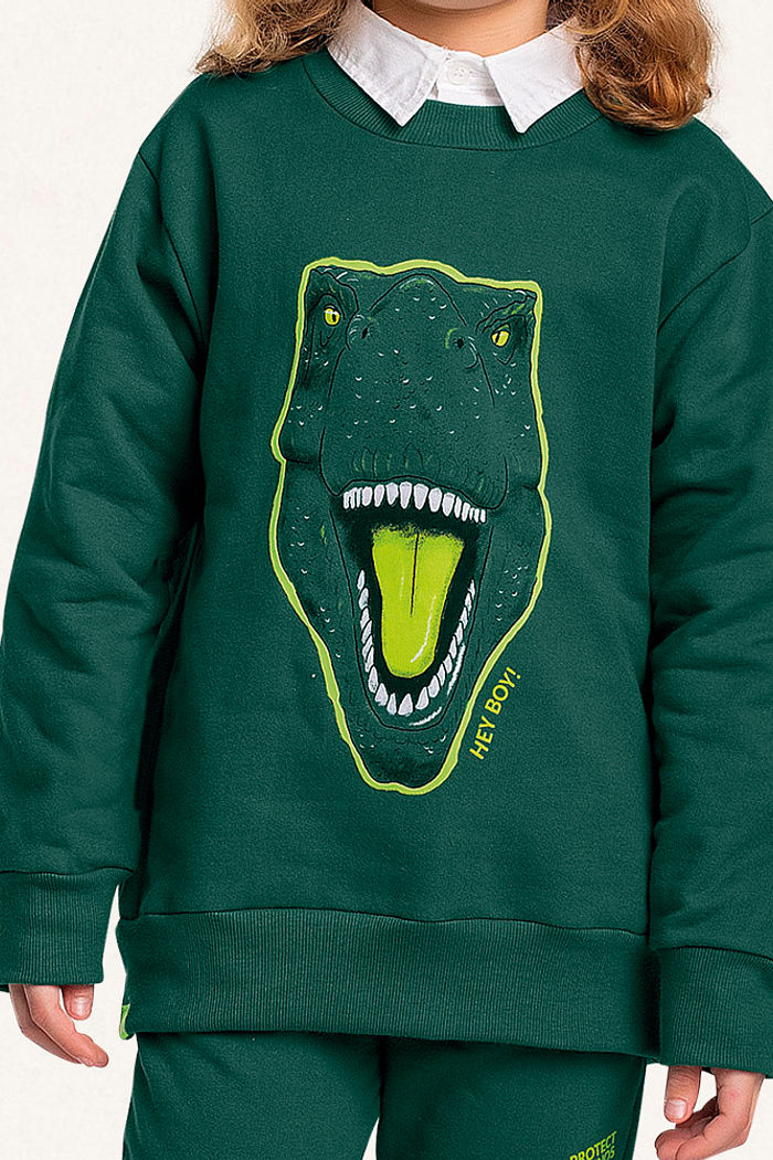 Conjunto blusão e calça em moletom dinossauro