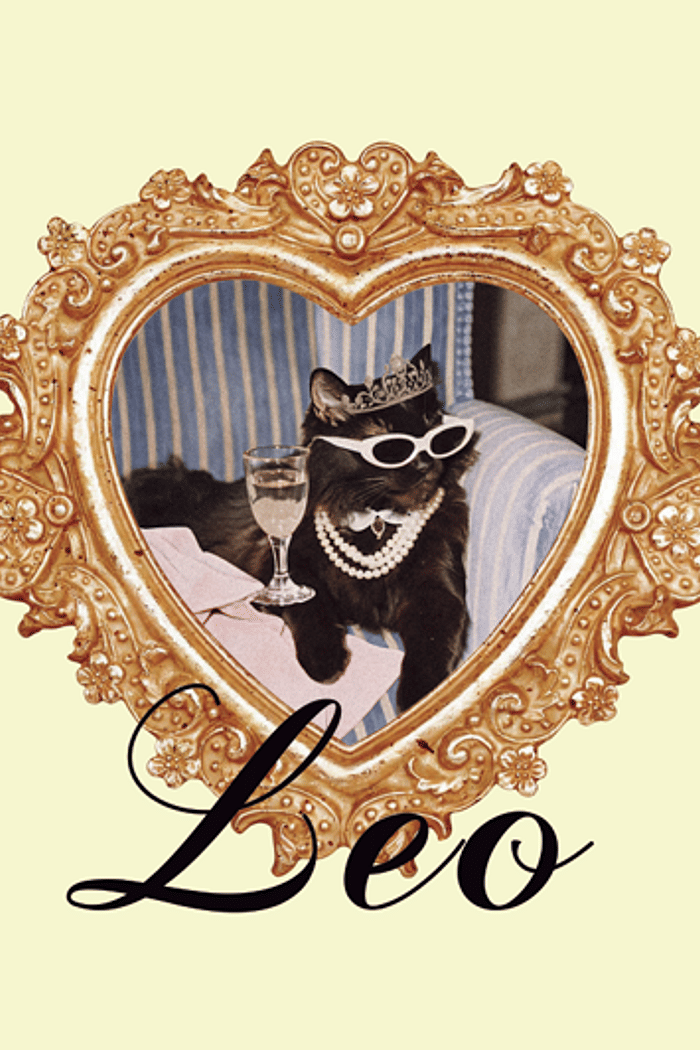 adesivo zodiac leo mundo lolita