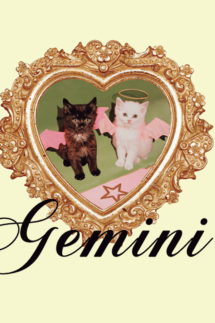 adesivo zodiac gemini mundo lolita