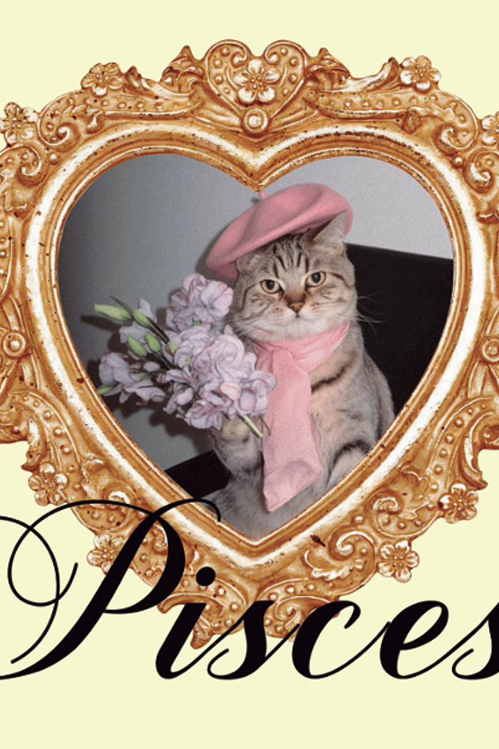 adesivo zodiac pisces mundo lolita