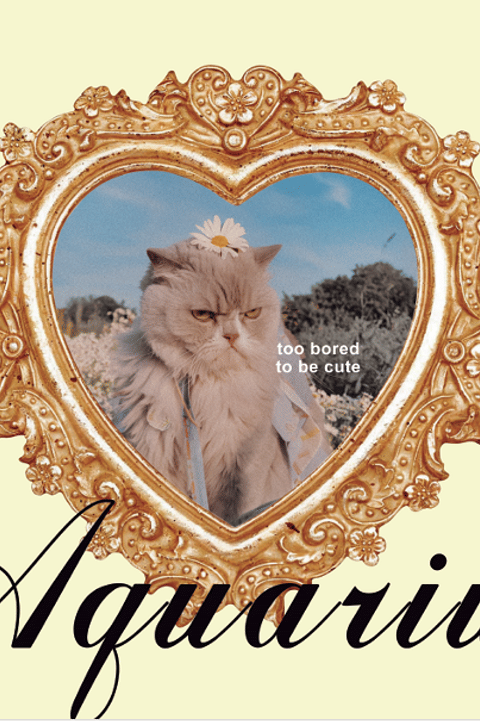 adesivo zodiac aquarius mundo lolita